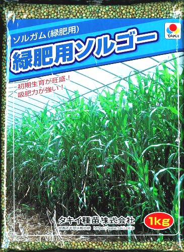 ソルゴー　牧草　8キロ ソルゴー 牧草 8キロ 【公式通販】